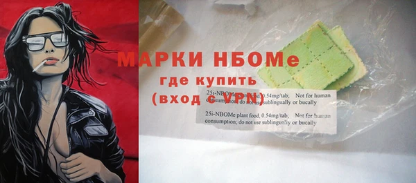 хмурый Гусь-Хрустальный