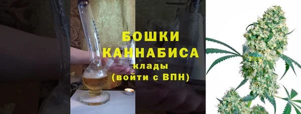 стафф Гусев