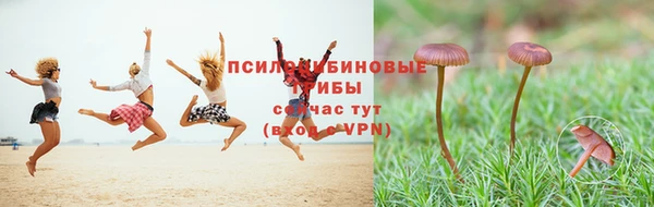 стафф Гусев