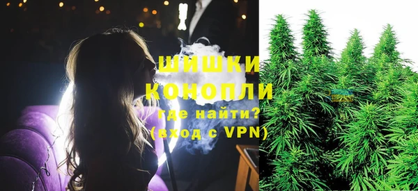 хмурый Гусь-Хрустальный