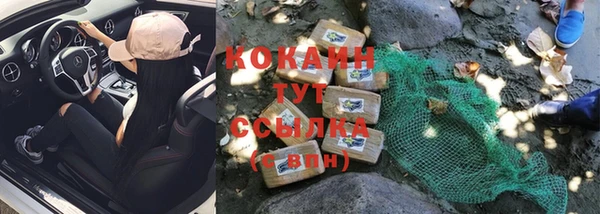 стафф Гусев