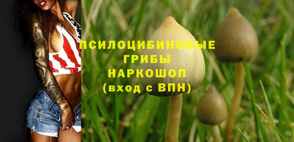 соль курить ск Шали