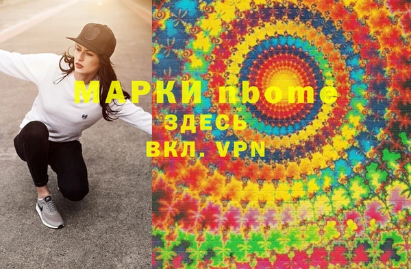 стафф Гусев