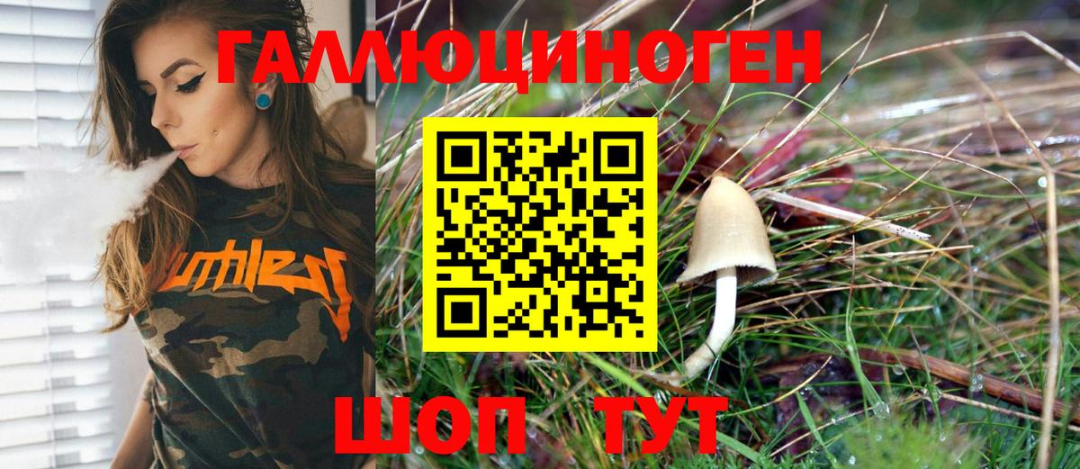 Галлюциногенные грибы Magic Shrooms  Галлюциногенные грибы мухоморы  Гурьевск  Вход с VPN 