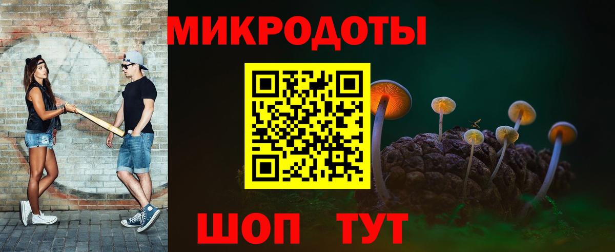 Галлюциногенные грибы GOLDEN TEACHER Гурьевск